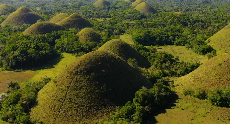 Bohol_PH_Chocolat Hill Tour_2026_1